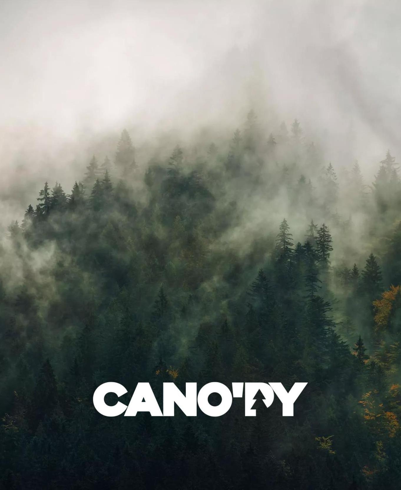Cano'Py, Charmant 2 Pieces Avec Vue Montagne En Coeur De Ville Bagnères-de-Luchon Zewnętrze zdjęcie